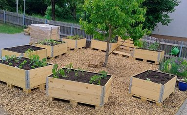 Am Hands-on Aktionstag von PRODINGER werden Hochbeete für einen Kindergarten gebaut und bepflanzt.