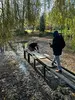 Man sieht den maroden Steg am Teich vor der Überarbeitung am Hands-On Aktionstag von PRODINGER.