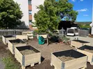 Ein Lieferung mit Erde wird zu den Hochbeeten gebracht