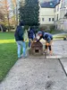 Das Entenhaus wird am Hands-On Aktionstag von Prodinger Mitarbeiter grundsaniert.