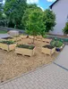 Die Hochbeete wurden bepflanzt.